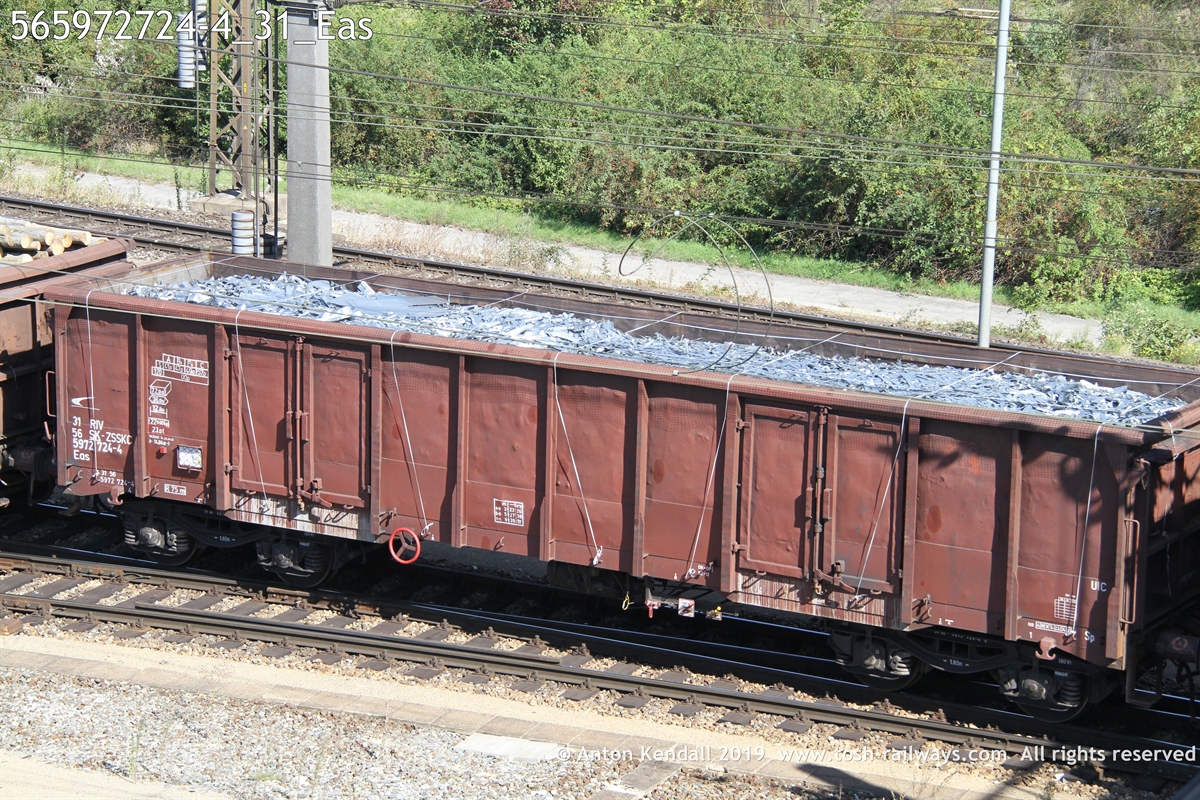 565972724-4_31_Eas.JPG
